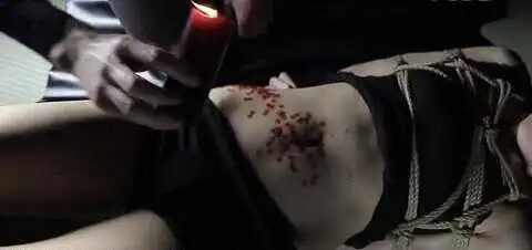 西檬之家-BDSM字母圈新人入圈指南