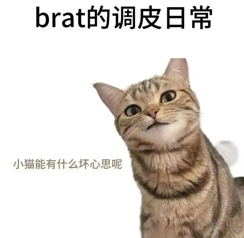 西檬之家-恋足癖在BDSM中的定位与安全指南