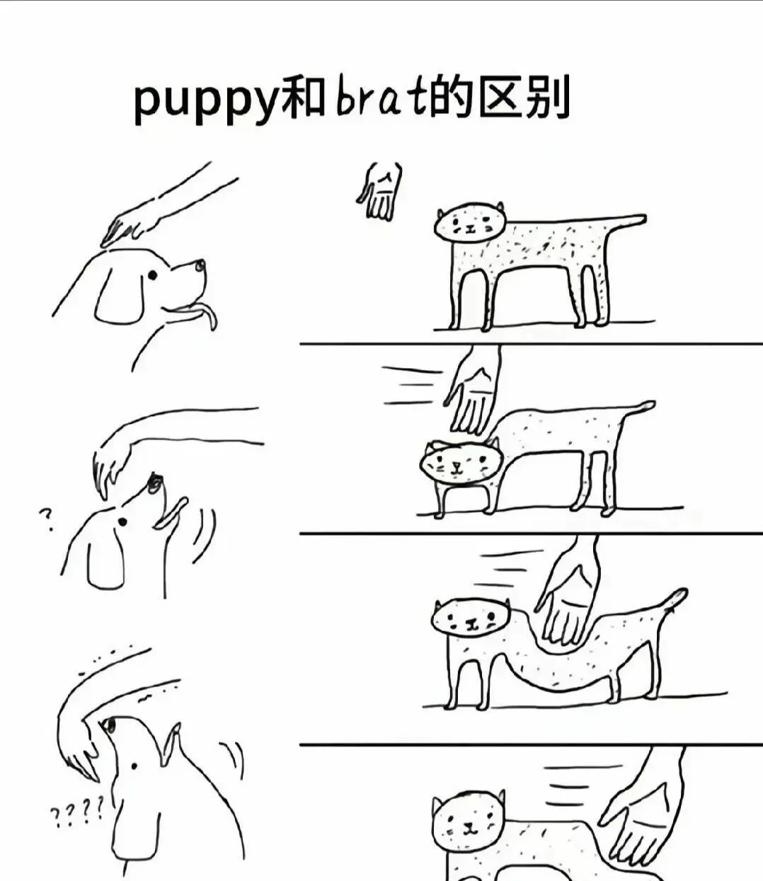 西檬之家-字母圈新人如何入圈？从K8是什么解析BDSM入门
