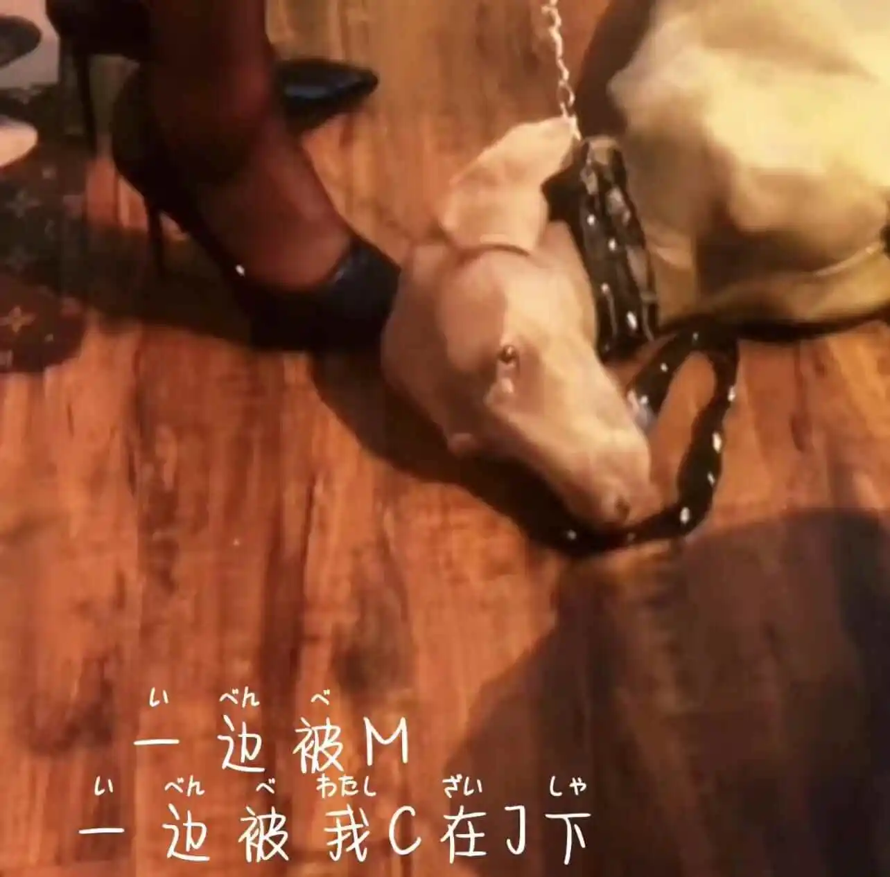 西檬之家-新人如何理解字母圈S属性？