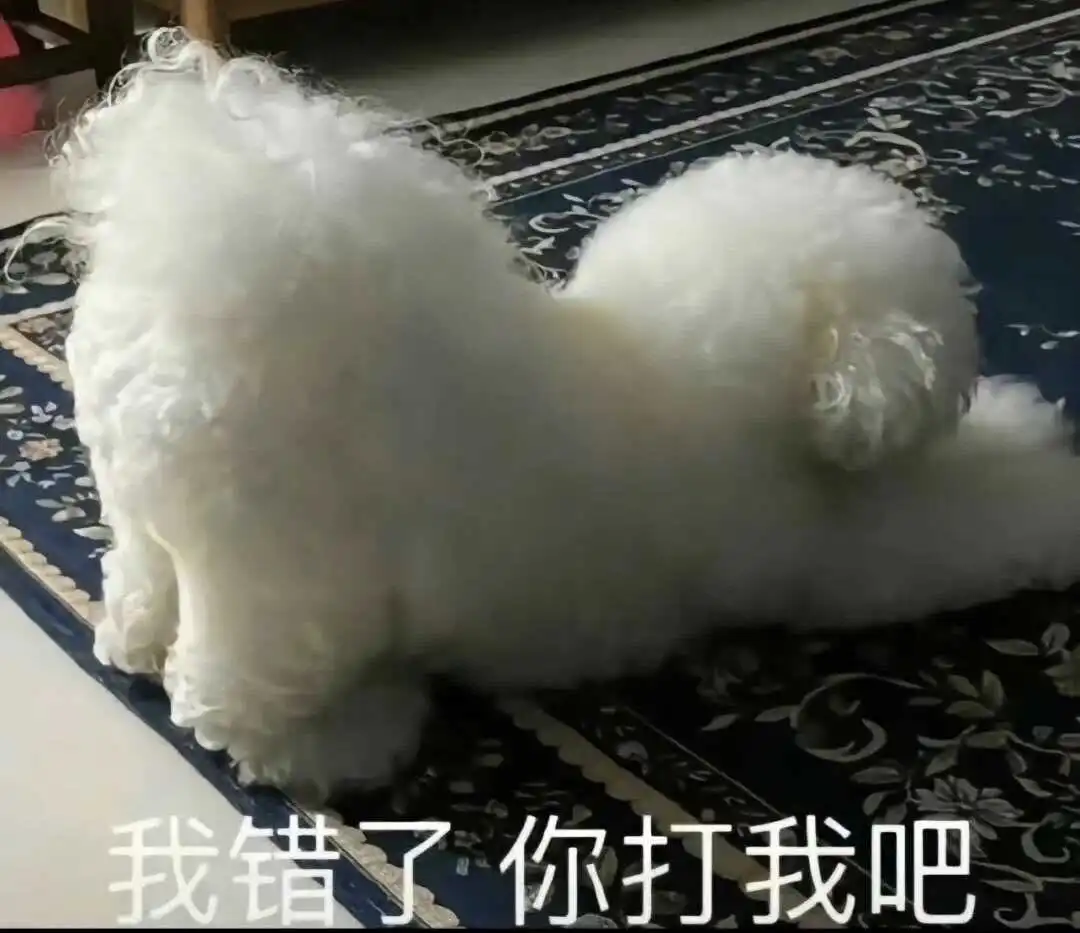 【西檬之家】M倾向解析：BDSM圈新人如何理解臣服与自我边界？