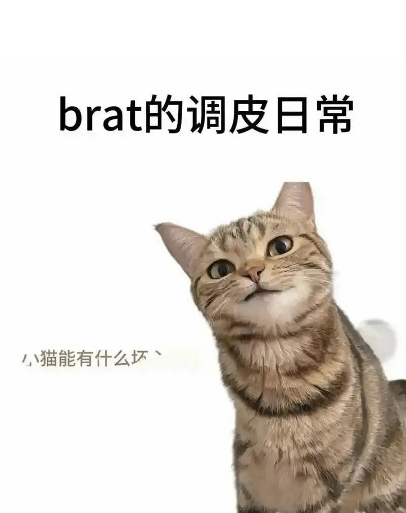 【西檬之家】字母圈新人必看：BDSM入圈指南与核心术语解析
