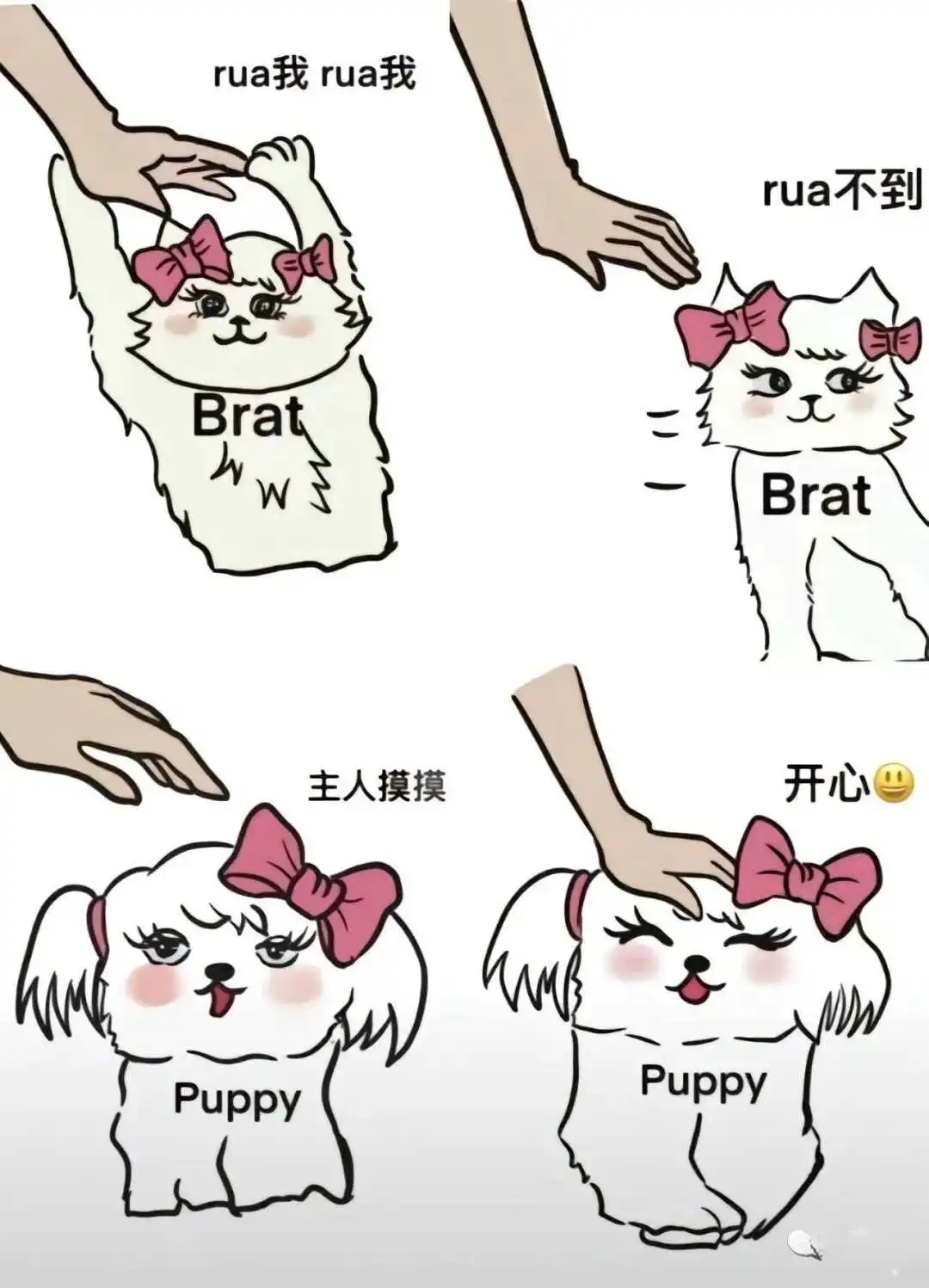 西檬之家-字母圈新人入圈指南：核心术语解读